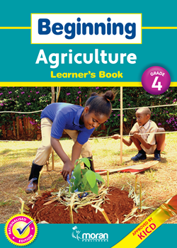 BEGINNING AGRICULTURE
