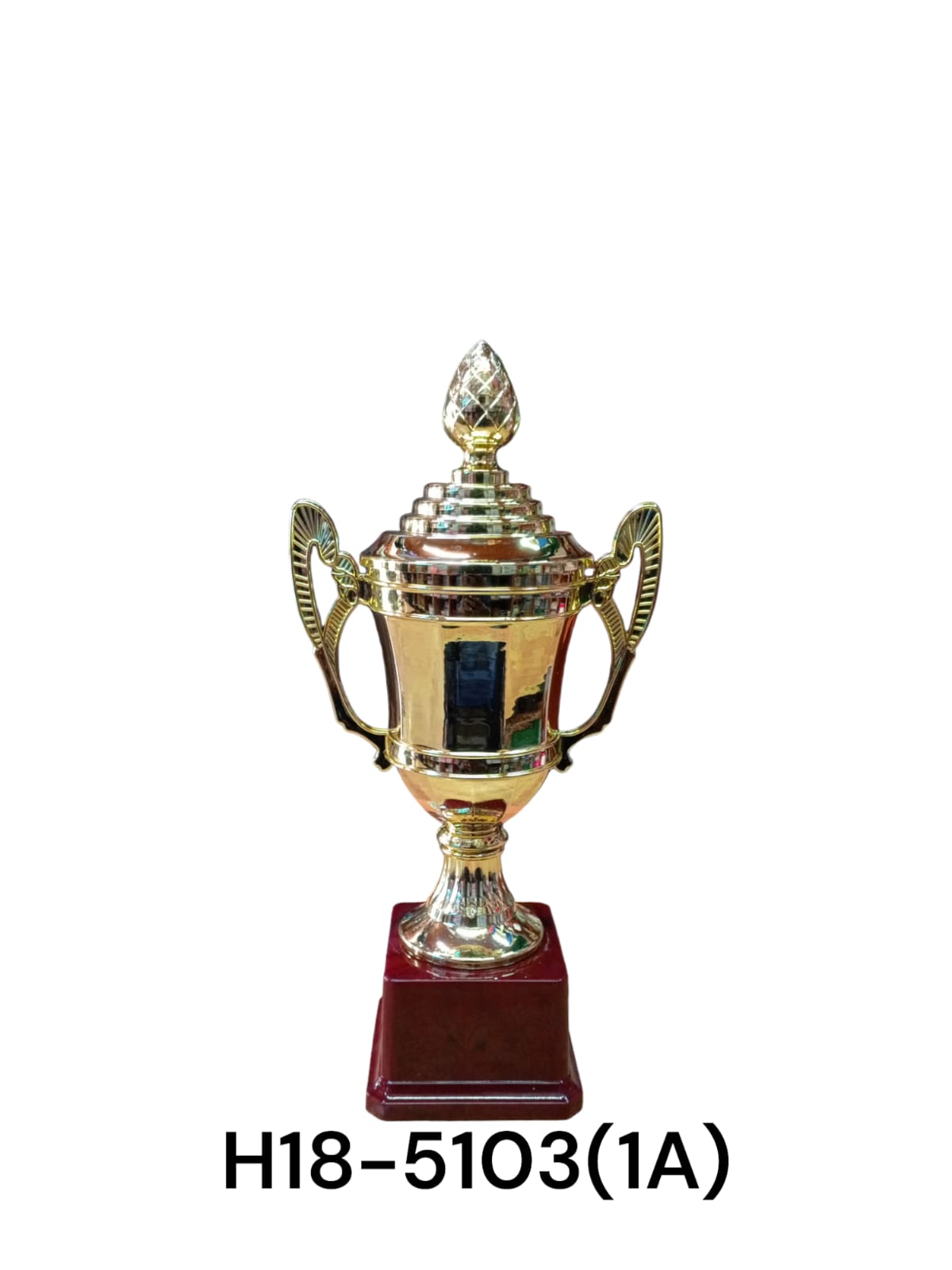 TROPHIES  (HB)